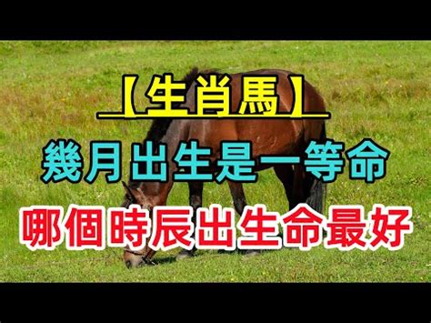 屬馬今年幾歲|屬馬今年幾歲｜屬馬民國年次、馬年西元年